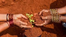 soil-where-food-begins-3-cm-develop-in-thousand-year-wait-soil-fertility-today-is-world-soil-day