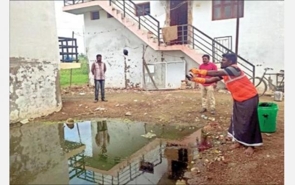 'Oil Ball' to Destroy Mosquito Eggs Produced on Rainwater
