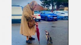 elderly-lady-talking-to-a-penguin