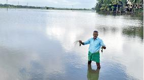 hundreds-of-acres-of-samba-crops-were-submerged