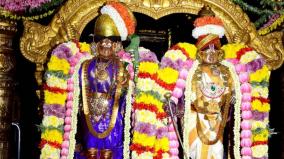 on-the-occasion-of-the-birth-of-the-month-of-margazhi-in-srivilliputhur-andal-dressed-in-silk-and-got-up