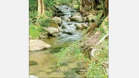 streams-formed-by-springs-on-western-ghats