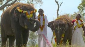 oscar-nominations-list-four-nominations-from-india-for-the-first-time