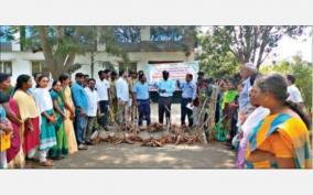 disease-resistance-containing-discovery-of-a-new-type-cassava-scientist-inform