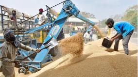 small-grain-production-in-2022-23-is-205-lakh-tonnes