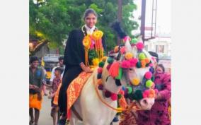 first-advocate-of-sanitation-staff-quarters-peoples-welcome-on-carried-decorative-horse-madurai