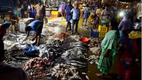 madurai-maattuthavani-midnight-fish-market