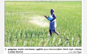 bisana-paddy-cultivation-started-late-due-to-rains-delayed-release-of-water-on-dams-can-the-target-be-achieved