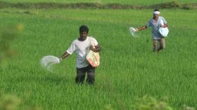 indian-economy-2023-more-attention-is-needed-in-the-agricultural-sector