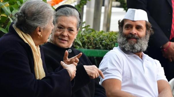 Sonia, Rahul in the position of permanent executives of the Congress party