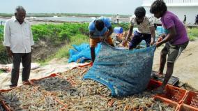 indian-economy-2023-bouncing-fishing-industry