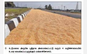 take-action-need-to-get-proper-price-for-corn-farmers-demand-to-tn-govt