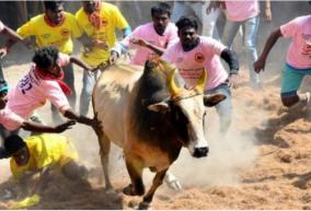 will-special-arrangements-made-for-differently-abled-people-to-watch-jallikattu