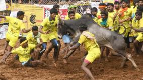 madurai-collector-releases-guidelines-for-conduct-of-jallikattu-events