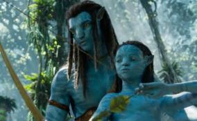 avatarthewayofwater-has-emerged-highest-grossing-hollywood-film-in-india