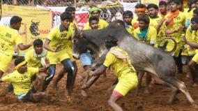 jallikattu-to-unite-all-communities-in-avaniyapuram-madurai-collector-ordered-to-hold-reconciliation-meeting-tomorrow