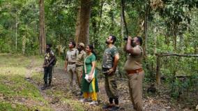 birds-survey-on-valparai-forest