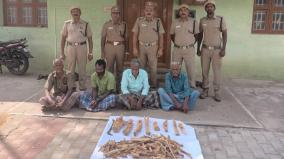 4-arrested-for-cutting-sandalwood