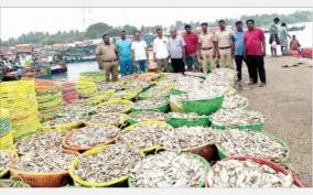 rameswaram-4000-kg-of-fish-caught-using-banned-nets-seized