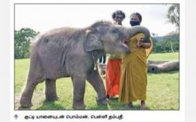the-elephant-whispers-the-story-of-an-mudumalai-elephant-care-couple-nominated-for-an-oscar