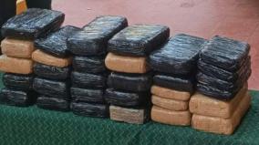 59-3-kg-ganja-seized-in-one-day-in-chennai-9-people-including-3-women-arrested
