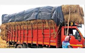 straw-shortage-for-cattle-on-krishnagiri-farmers-suffer-due-to-price-hike