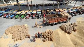 action-to-sell-in-external-market-price-of-wheat-will-drop-by-rs-6-per-kg