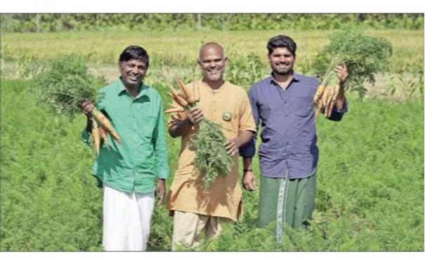 Isha Model Farm to Guide Carrot Cultivation on Plains Region