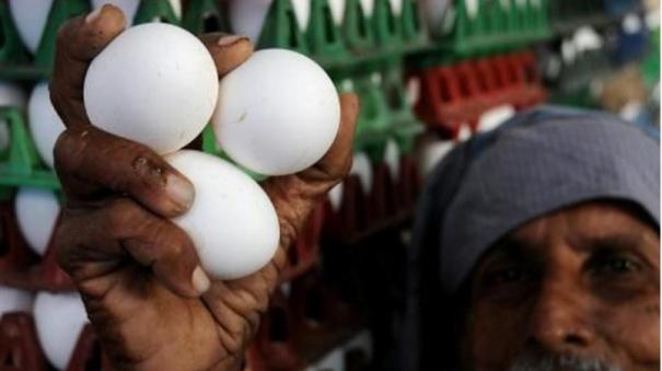 Egg Prices Fall by 75 Paise on Last One Week: Farmers are Shocked