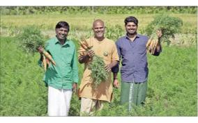 isha-model-farm-to-guide-carrot-cultivation-on-plains-region