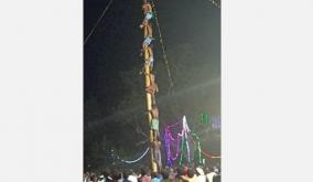 pudukkottai-7-people-climbed-a-47-feet-tall-bald-tree-on-vadakadu