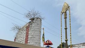 a-23-foot-vel-on-the-banks-of-palani-shanmukha-river-on-the-occasion-of-thaipusam-festival