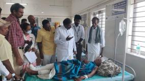 old-man-was-injured-after-being-attacked-by-a-single-elephant-on-dharmapuri-mla-met-him-and-inquired-about-his-well-being
