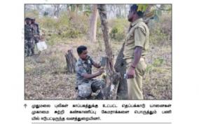 fixed-26-cameras-around-theppakadu-camp-to-monitor-tiger-movement