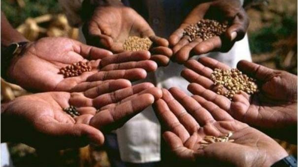 9th February – Traditional Seed Festival