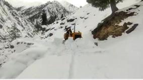 2-killed-in-himachal-avalanche