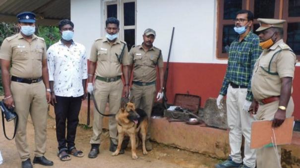 Forest Department Action to Integrate the Elephants Split from Denkanikottai, Thally Forest Area