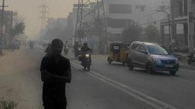 severe-cold-is-related-to-increasing-mosquito-infestation-and-fever-in-chennai