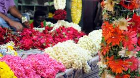 flower-prices-rise-ahead-of-shivratri-festival-kundu-malli-sold-at-rs-1-600-per-kg