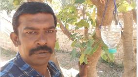 water-for-tree-dwelling-birds-from-plastic-bottles-thrown-on-roads-by-madurai-volunteer