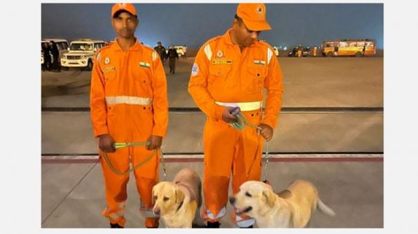 ‘பல உயிர்களைக் காப்பாற்றிய ஜூலி’ - துருக்கி மீட்புப் பணியில் இந்திய மோப்ப நாய்கள் தீவிரம் 