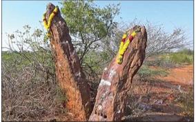 lovers-who-are-looking-for-love-stones-near-manamadurai-to-fulfill-their-love