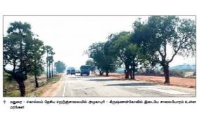will-the-tree-be-removed-without-cutting-and-planted-elsewhere-on-madurai-kollam-4-lane-project