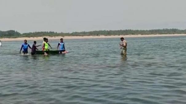 The river that drank the lives of the finches