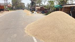 rajapalayam-farmers-drying-their-harvested-grain-on-the-road