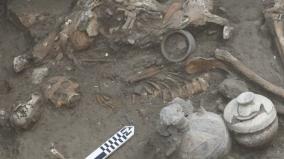 elite-bronze-age-man-had-brain-surgery-more-than-3000-years-ago