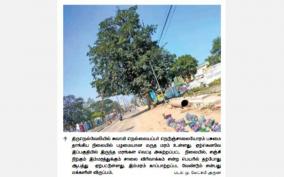 sudden-danger-to-marutha-tree-on-nellai-cutting-plan