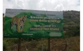 animals-migrating-for-food-and-water-on-udumalai-amaravathi-forest