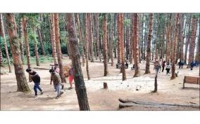 theft-on-tourist-vehicles-parked-on-udhagai-pine-forest-area