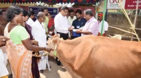 vaccination-of-6-lakh-cattle-through-149-groups-in-salem-district